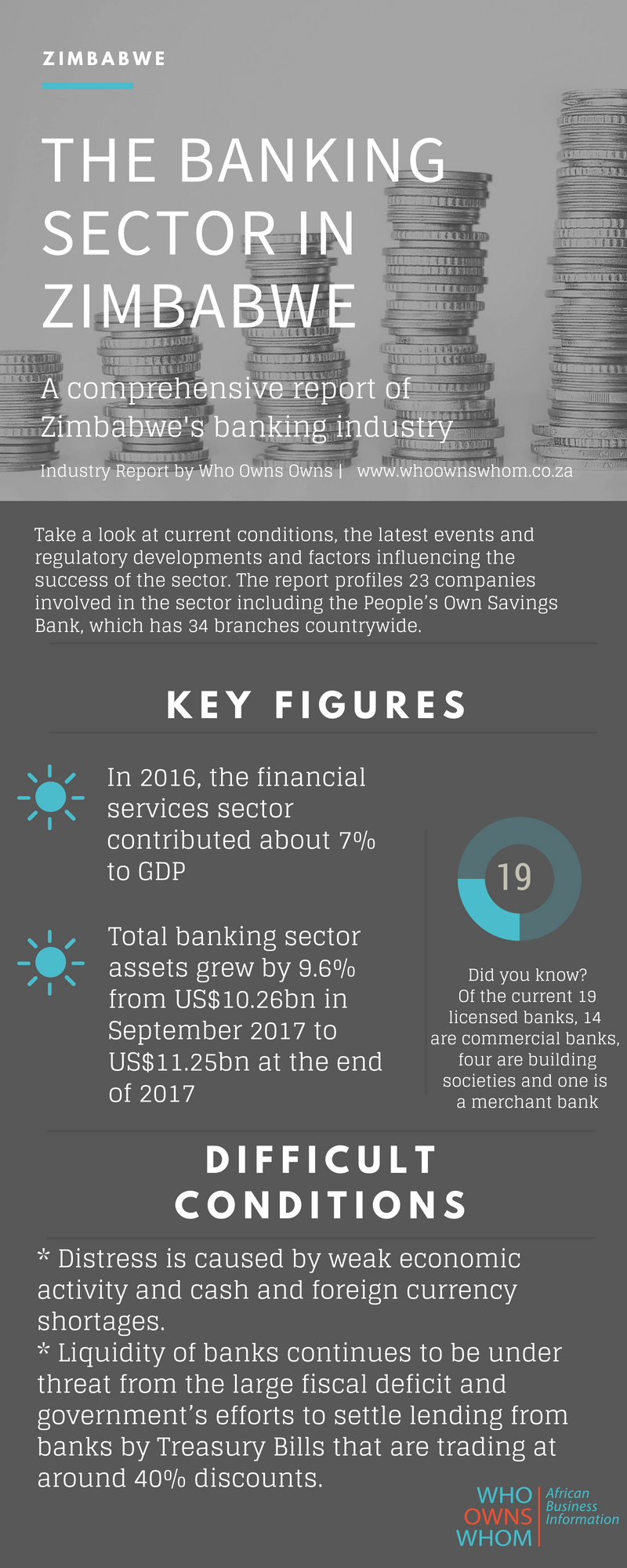 Infographic zimbabwe banking sector